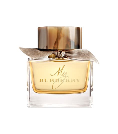 top rated burberry perfume|burberry perfume most popular.